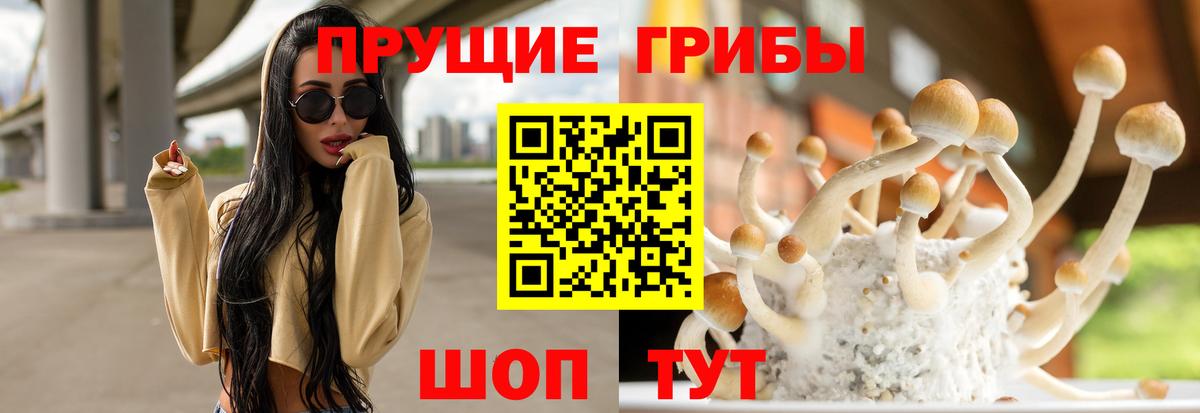 Гашиш  Cocaine  Конопля  Трёхгорный  A PVP СОЛЬ кристаллы  ГАШ  Экстази  MDMA  Марихуана  Вход с VPN  Мефедрон  